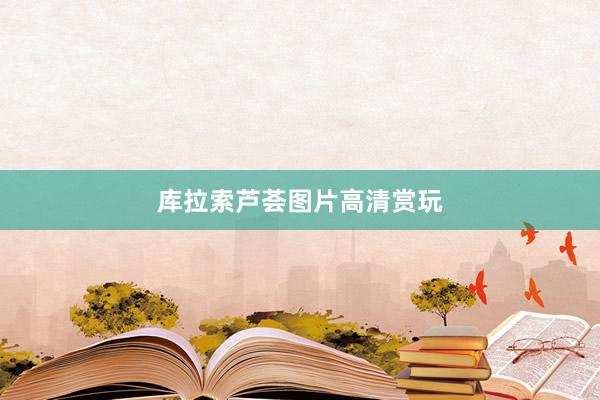 库拉索芦荟图片高清赏玩