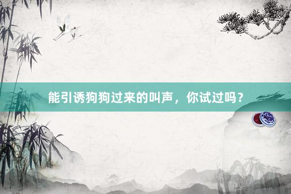 能引诱狗狗过来的叫声，你试过吗？