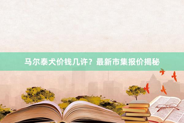 马尔泰犬价钱几许？最新市集报价揭秘