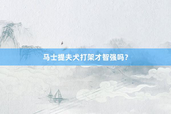 马士提夫犬打架才智强吗？